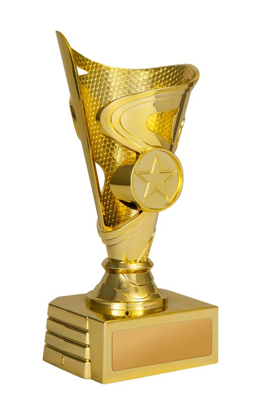1st Place Achievement Trophy 150mm