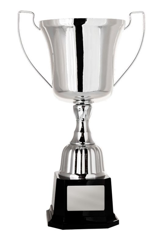 Silver Metal Cup 291mm