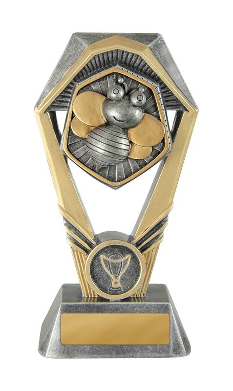 Spelling Schools Trophy 170mm
