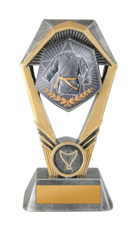 Martial Arts Trophy 230mm