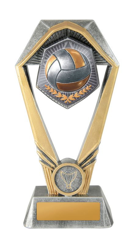 Volleyball Trophy 230mm