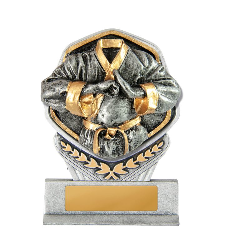 Martial Arts Trophy 180mm