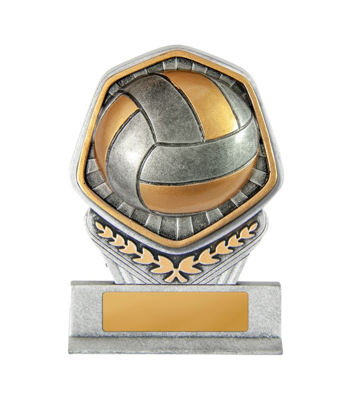 Volleyball Trophy 180mm