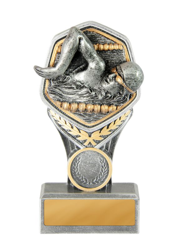 Swimming Male Trophy 240mm