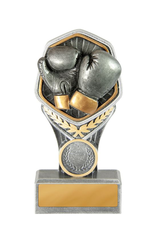 Boxing Trophy 240mm