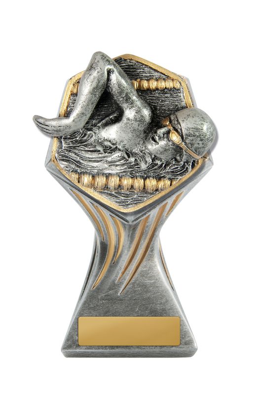 Swimming Male Trophy 200mm