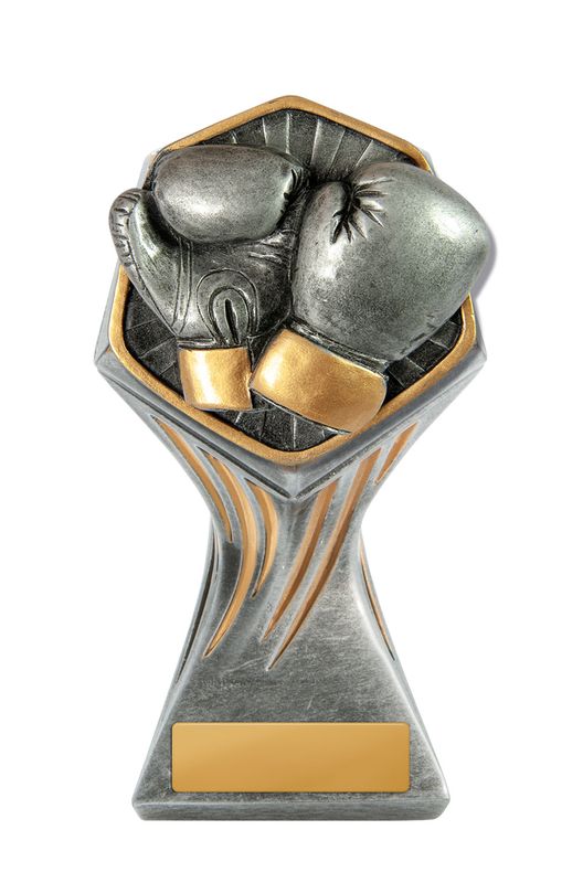 Boxing Gladiator Trophy 200mm