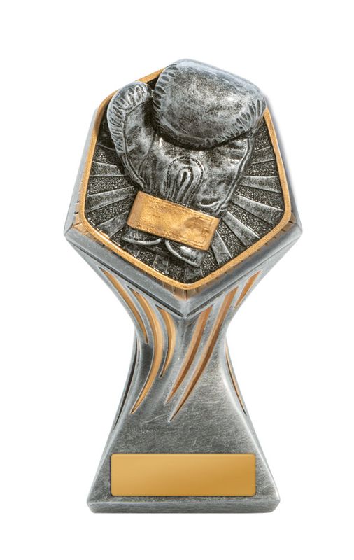 Boxing Trophy 200mm