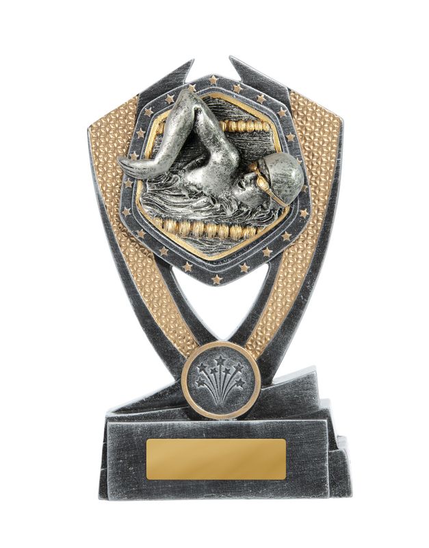 Swimming Male Trophy 175mm