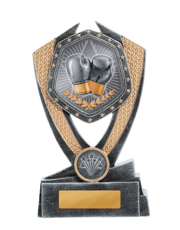 Boxing Trophy 175mm