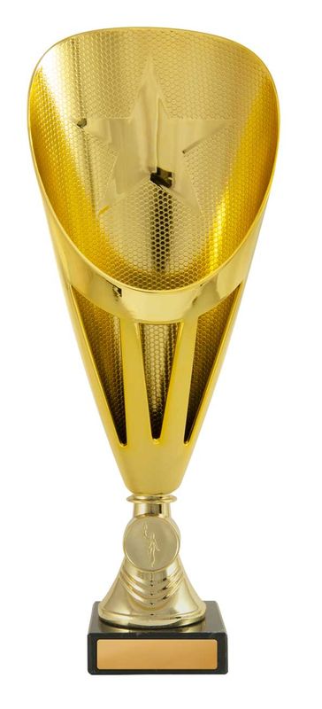 Dance Gold Cup 290mm