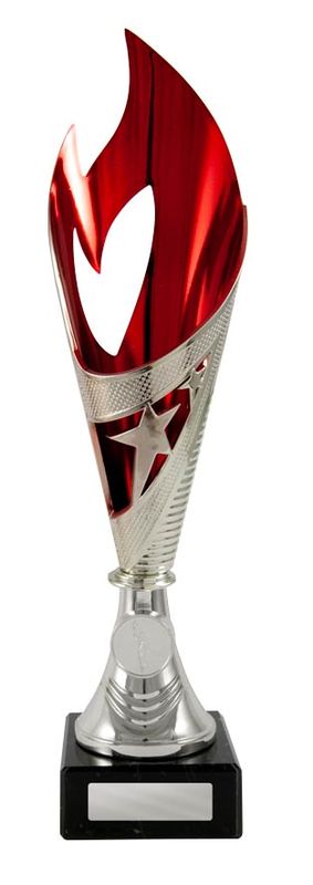 Dance Silver Cup 260mm