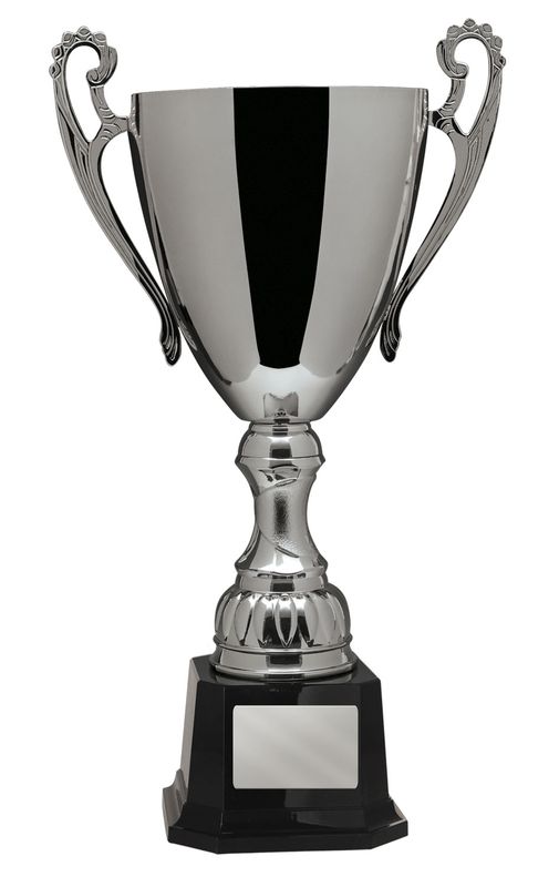 Achievement Silver Cup 277mm