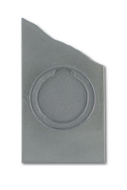 Silver All Sports Trophy 210mm