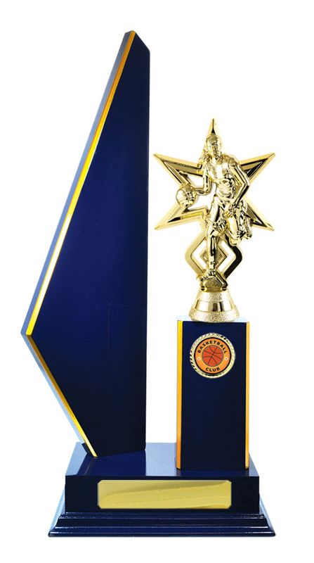 Basketball Trophy 305mm