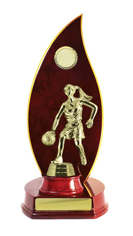 Basketball Trophy 230mm