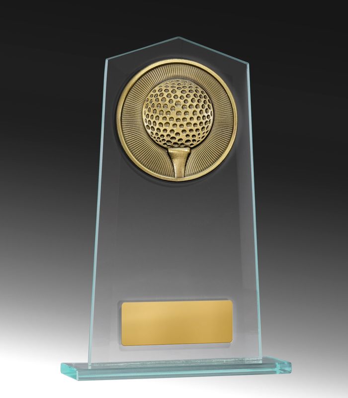 Martial Arts Glass Trophy 190mm