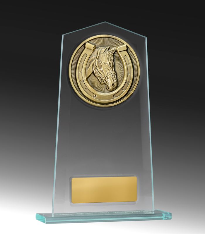 Swimming Glass Trophy 210mm