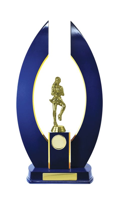 Netball Trophy 320mm