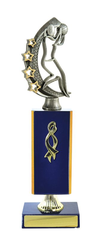 Netball Trophy 195mm