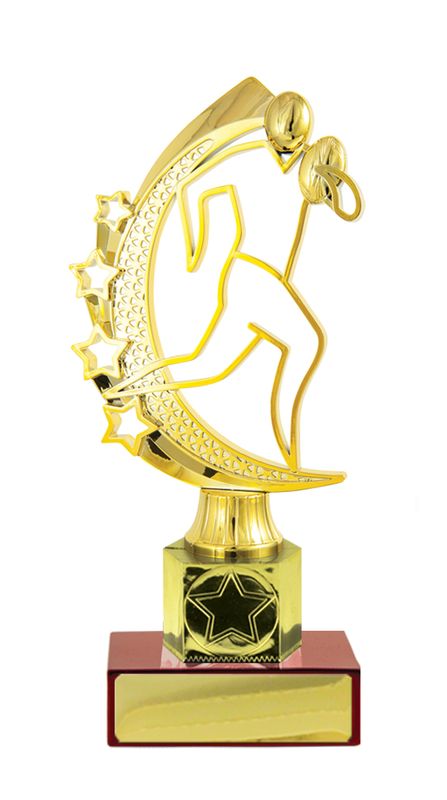 Male Rugby on Base Trophy 170mm