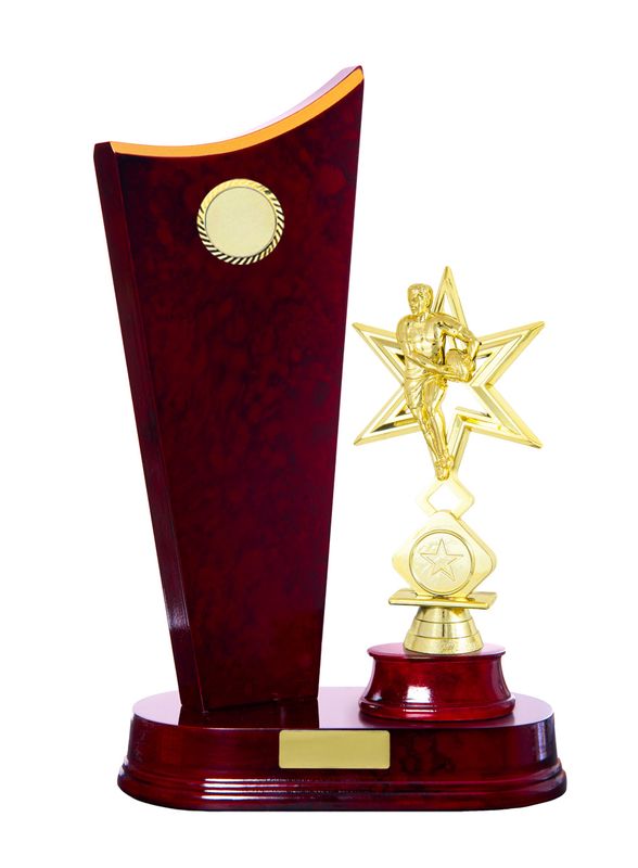 Rugby Trophy 230mm
