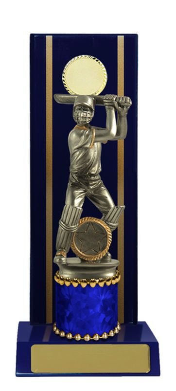 Cricket Male Trophy 185mm