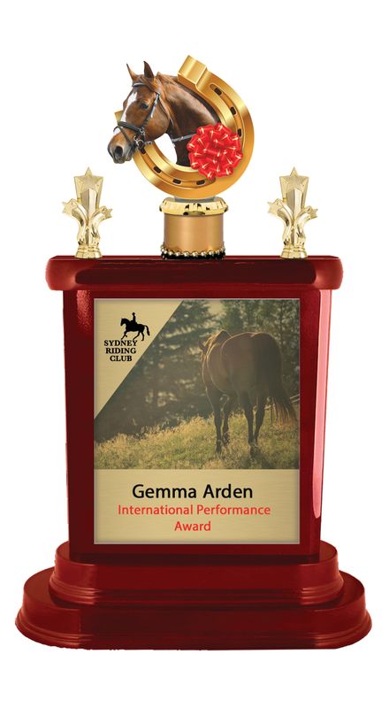 Horse Perpetual Trophy 430mm