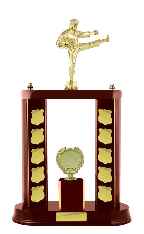 Martial Arts Trophy 520mm