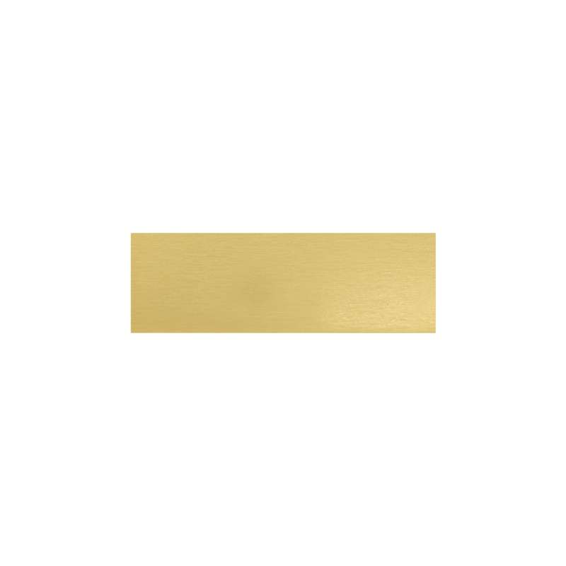 Trophy Plate – 46x15mm