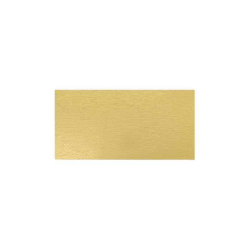 Trophy Plate – 48x24mm