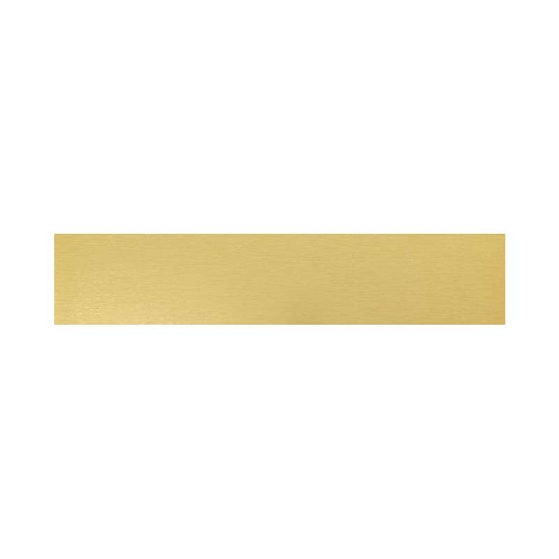 Trophy Plate – 69x14mm