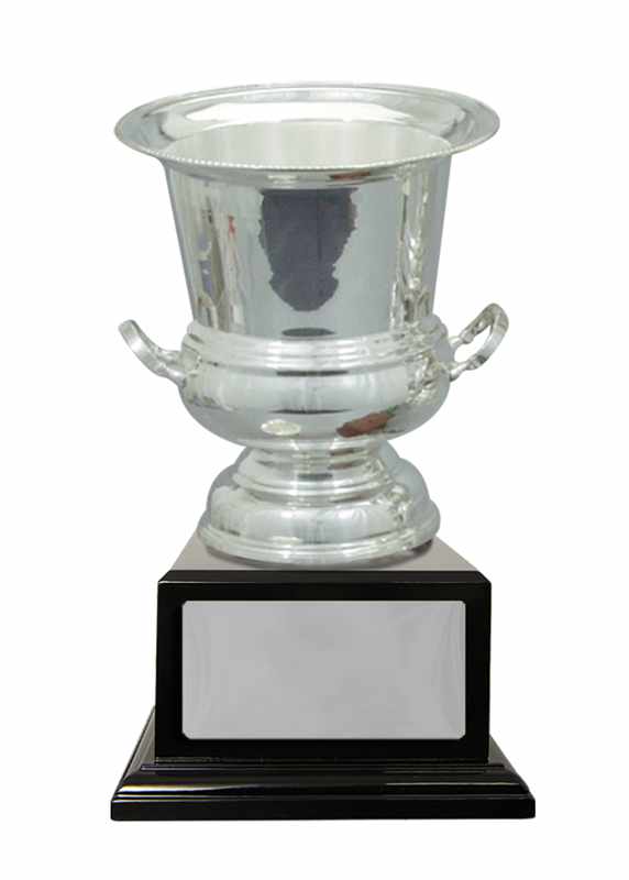 Silver Metal Cup 185mm